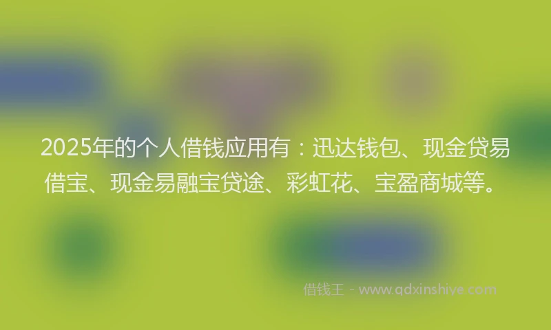2025年的个人借钱应用有：迅达钱包、现金贷易借宝、现金易融宝贷途、彩虹花、宝盈商城等。