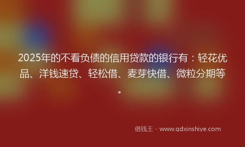 2025年的不看负债的信用贷款的银行有：轻花优品、洋钱速贷、轻松借、麦芽快借、微粒分期等。