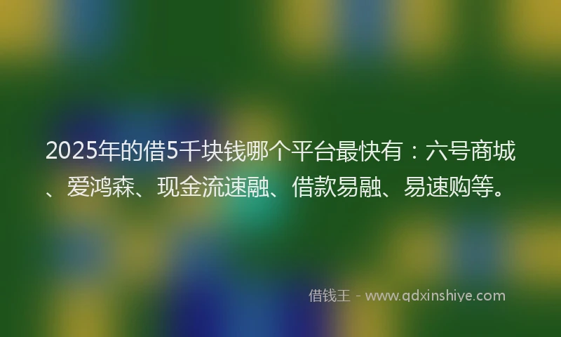 2025年的借5千块钱哪个平台最快有：六号商城、爱鸿森、现金流速融、借款易融、易速购等。
