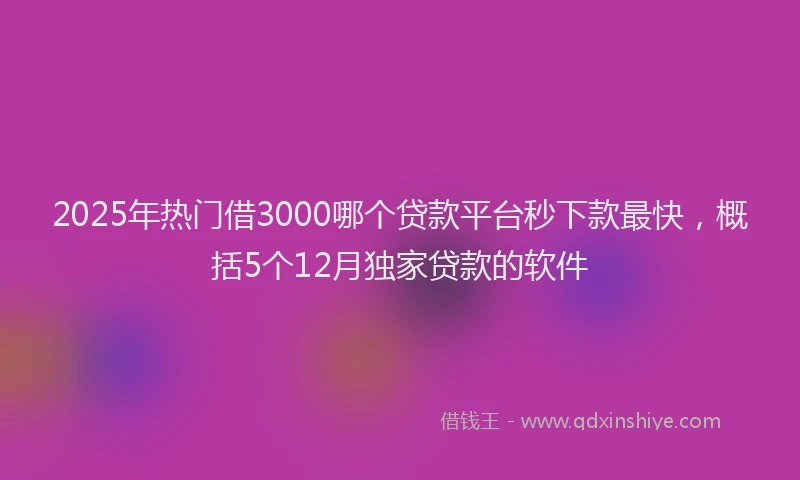 2025年热门借3000哪个贷款平台秒下款最快，概括5个12月独家贷款的软件
