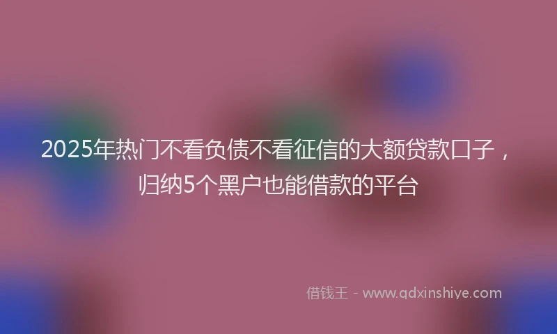 2025年热门不看负债不看征信的大额贷款口子，归纳5个黑户也能借款的平台