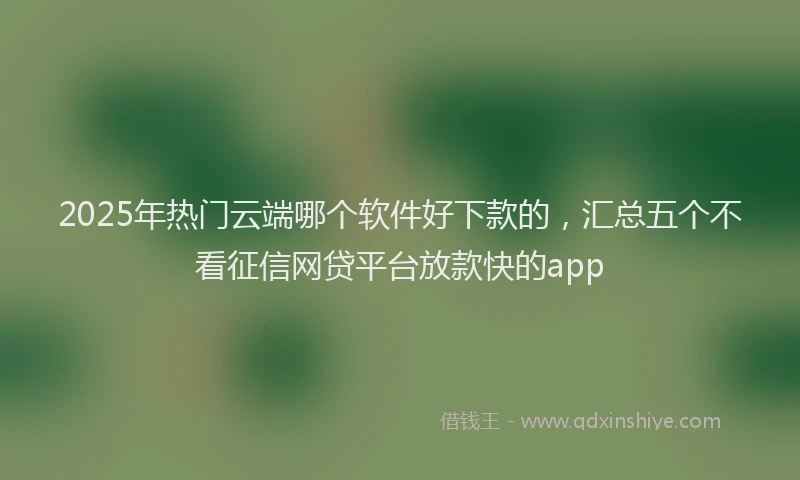 2025年热门云端哪个软件好下款的，汇总五个不看征信网贷平台放款快的app