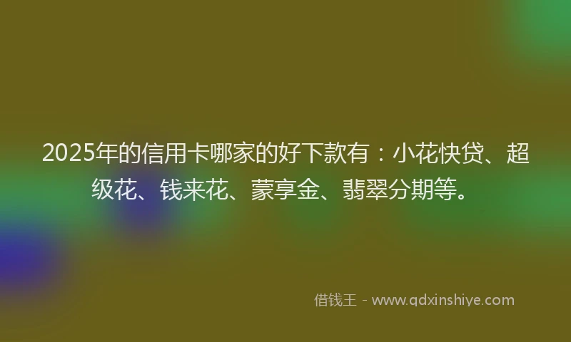 2025年的信用卡哪家的好下款有：小花快贷、超级花、钱来花、蒙享金、翡翠分期等。