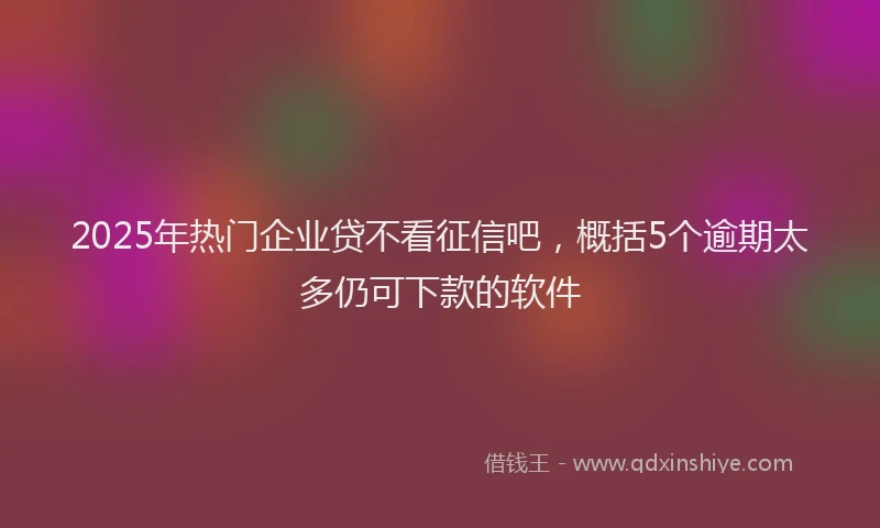 2025年热门企业贷不看征信吧，概括5个逾期太多仍可下款的软件