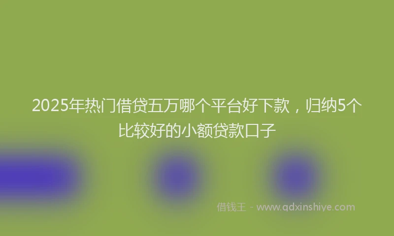 2025年热门借贷五万哪个平台好下款，归纳5个比较好的小额贷款口子