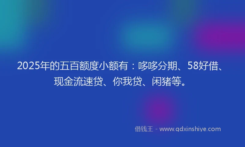2025年的五百额度小额有：哆哆分期、58好借、现金流速贷、你我贷、闲猪等。