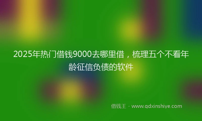 2025年热门借钱9000去哪里借，梳理五个不看年龄征信负债的软件