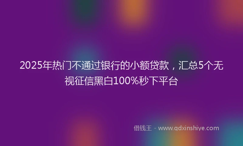2025年热门不通过银行的小额贷款，汇总5个无视征信黑白100%秒下平台