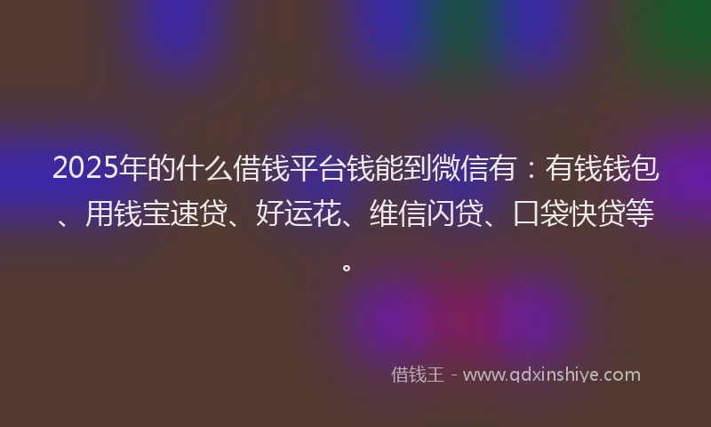 2025年的什么借钱平台钱能到微信有：有钱钱包、用钱宝速贷、好运花、维信闪贷、口袋快贷等。