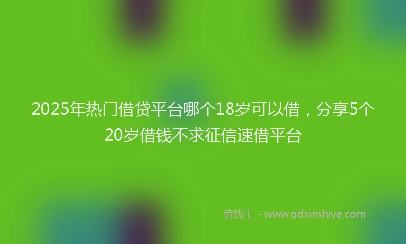 2025年热门借贷平台哪个18岁可以借，分享5个20岁借钱不求征信速借平台