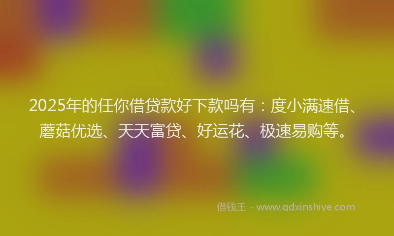 2025年的任你借贷款好下款吗有：度小满速借、蘑菇优选、天天富贷、好运花、极速易购等。