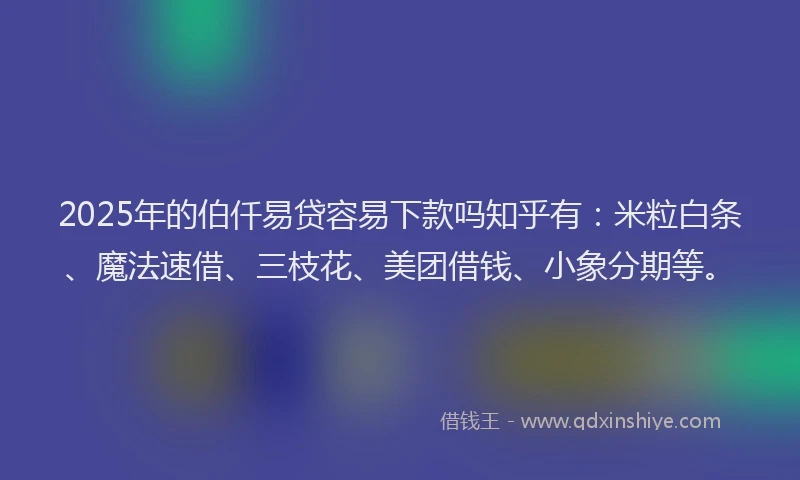 2025年的伯仟易贷容易下款吗知乎有：米粒白条、魔法速借、三枝花、美团借钱、小象分期等。