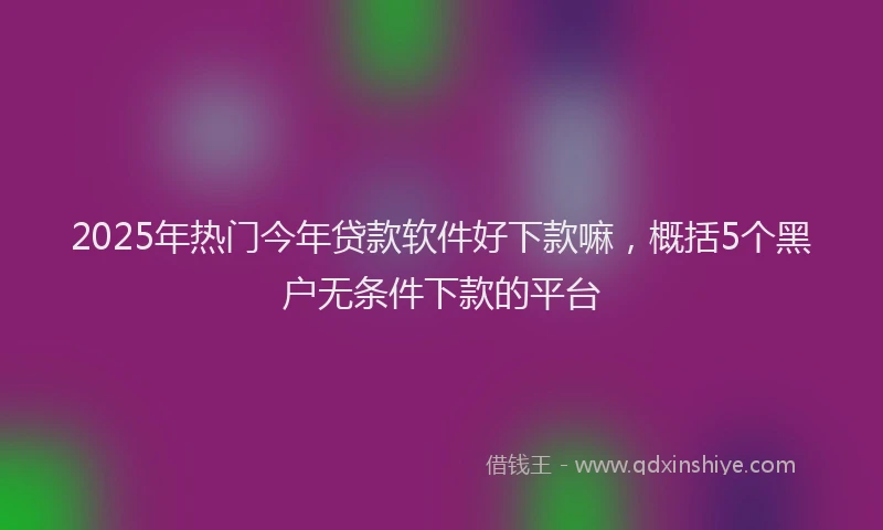 2025年热门今年贷款软件好下款嘛，概括5个黑户无条件下款的平台