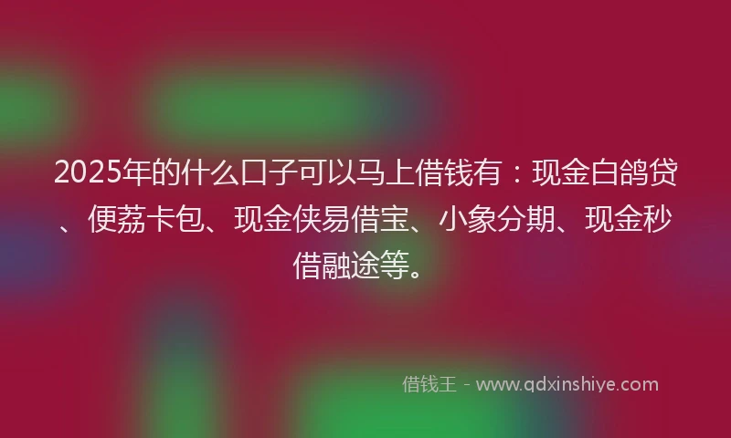 2025年的什么口子可以马上借钱有：现金白鸽贷、便荔卡包、现金侠易借宝、小象分期、现金秒借融途等。