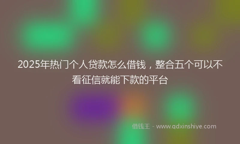 2025年热门个人贷款怎么借钱，整合五个可以不看征信就能下款的平台