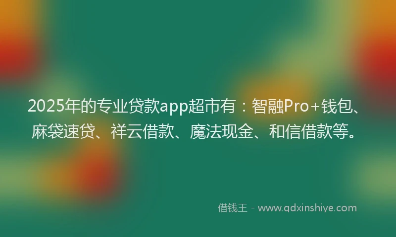 2025年的专业贷款app超市有：智融Pro+钱包、麻袋速贷、祥云借款、魔法现金、和信借款等。