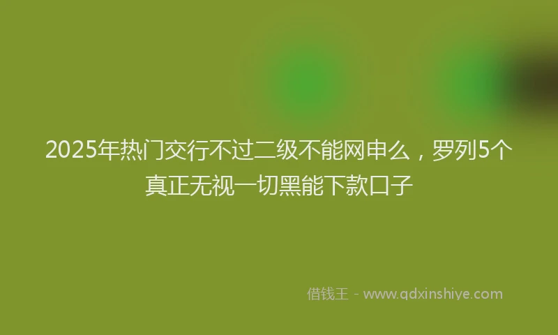 2025年热门交行不过二级不能网申么，罗列5个真正无视一切黑能下款口子