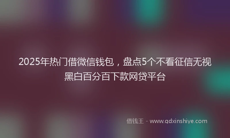 2025年热门借微信钱包，盘点5个不看征信无视黑白百分百下款网贷平台