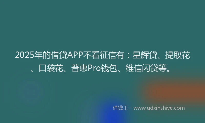2025年的借贷APP不看征信有：星辉贷、提取花、口袋花、普惠Pro钱包、维信闪贷等。