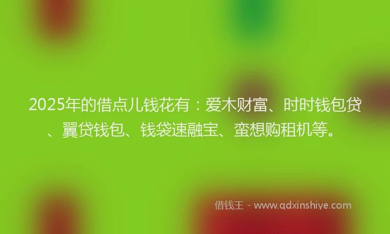2025年的借点儿钱花有：爱木财富、时时钱包贷、翼贷钱包、钱袋速融宝、蛮想购租机等。