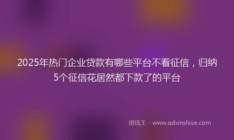 2025年热门企业贷款有哪些平台不看征信，归纳5个征信花居然都下款了的平台