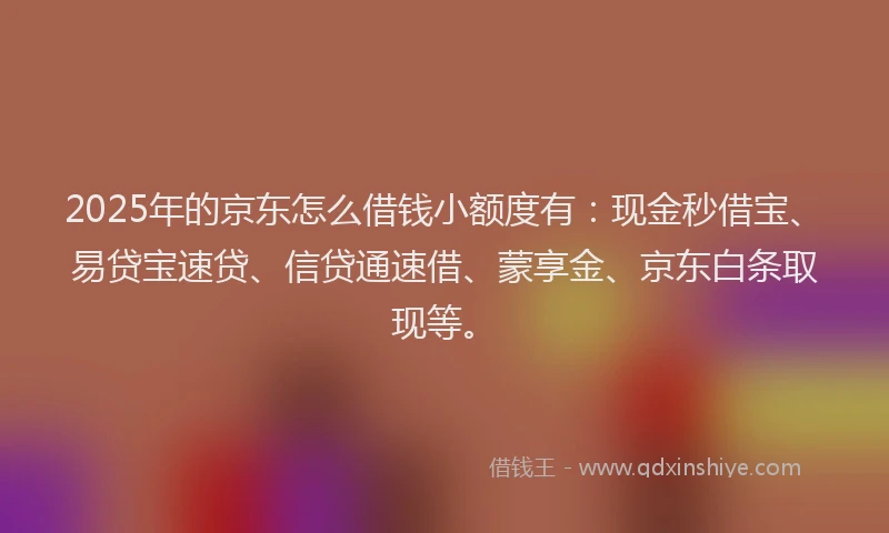 2025年的京东怎么借钱小额度有：现金秒借宝、易贷宝速贷、信贷通速借、蒙享金、京东白条取现等。