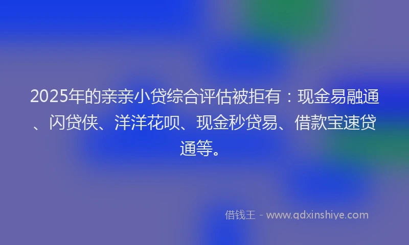 2025年的亲亲小贷综合评估被拒有：现金易融通、闪贷侠、洋洋花呗、现金秒贷易、借款宝速贷通等。