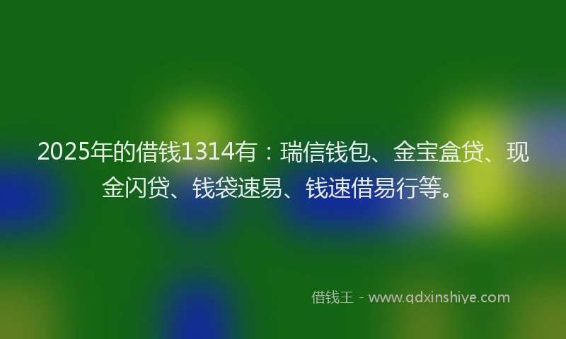 2025年的借钱1314有：瑞信钱包、金宝盒贷、现金闪贷、钱袋速易、钱速借易行等。