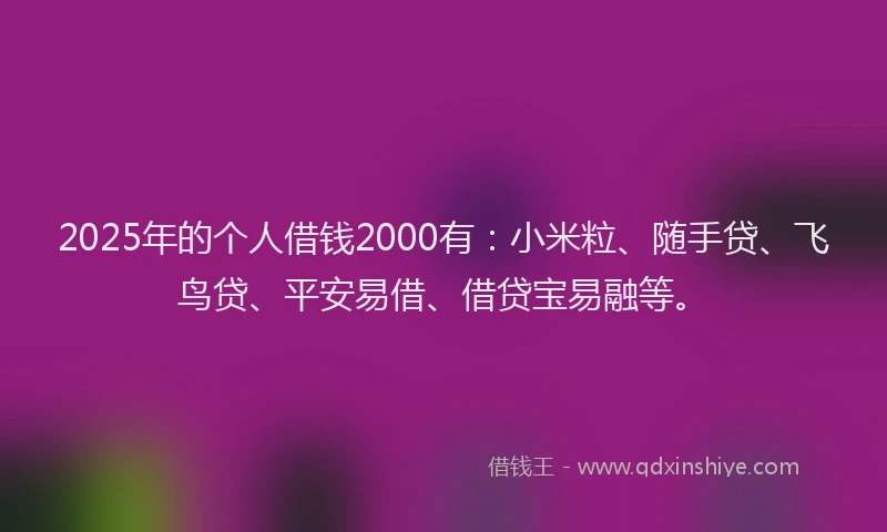 2025年的个人借钱2000有：小米粒、随手贷、飞鸟贷、平安易借、借贷宝易融等。