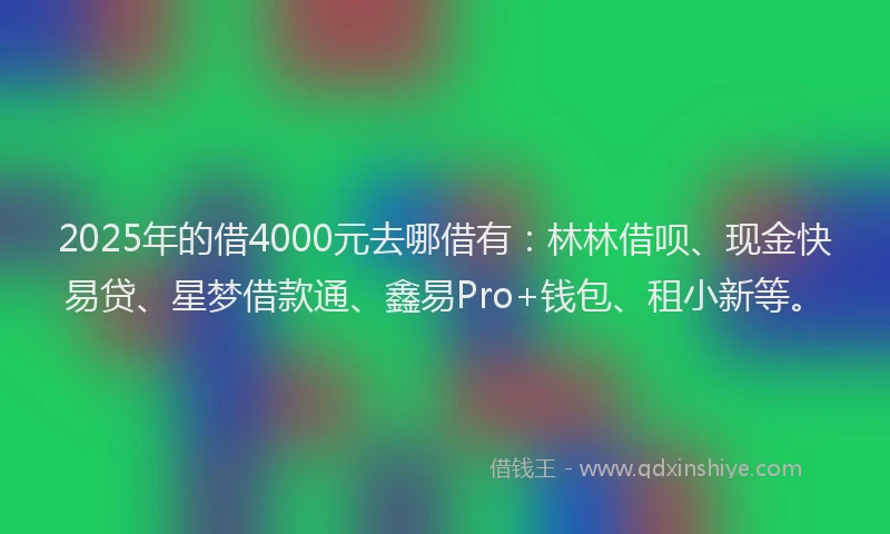 2025年的借4000元去哪借有：林林借呗、现金快易贷、星梦借款通、鑫易Pro+钱包、租小新等。