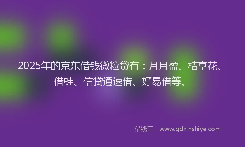 2025年的京东借钱微粒贷有：月月盈、桔享花、借蛙、信贷通速借、好易借等。