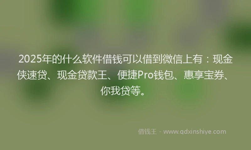 2025年的什么软件借钱可以借到微信上有:现金侠速贷、现金贷款王、便捷Pro钱包、惠享宝券、你我贷等。