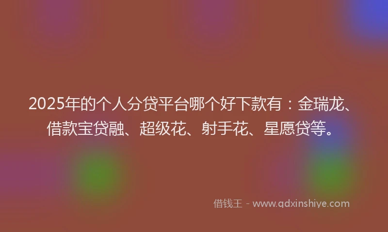 2025年的个人分贷平台哪个好下款有：金瑞龙、借款宝贷融、超级花、射手花、星愿贷等。