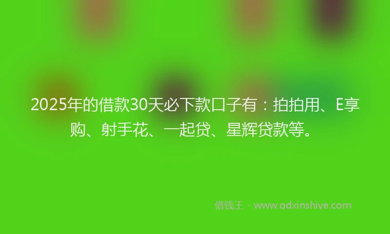 2025年的借款30天必下款口子有：拍拍用、E享购、射手花、一起贷、星辉贷款等。