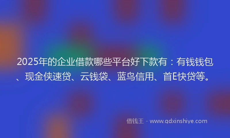2025年的企业借款哪些平台好下款有：有钱钱包、现金侠速贷、云钱袋、蓝鸟信用、首E快贷等。
