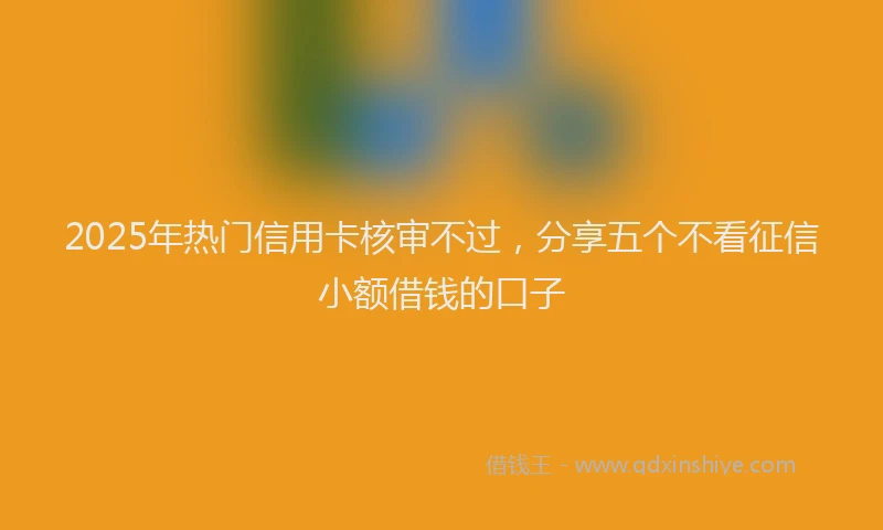 2025年热门信用卡核审不过，分享五个不看征信小额借钱的口子