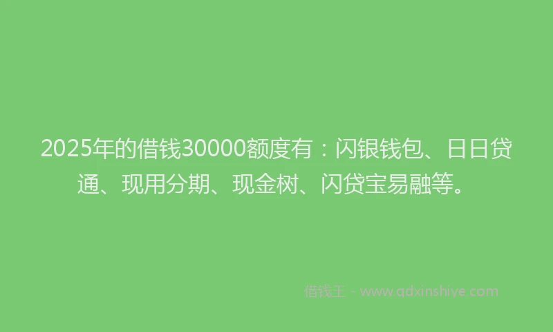 2025年的借钱30000额度有：闪银钱包、日日贷通、现用分期、现金树、闪贷宝易融等。