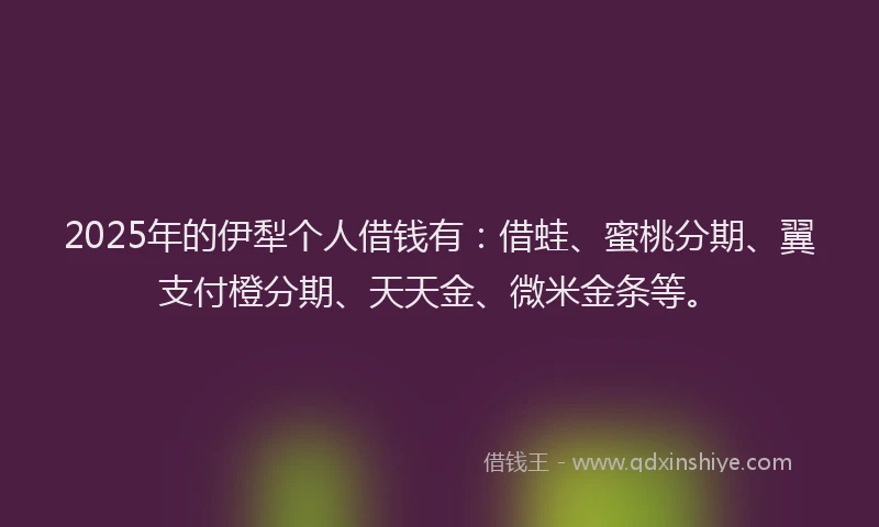 2025年的伊犁个人借钱有：借蛙、蜜桃分期、翼支付橙分期、天天金、微米金条等。