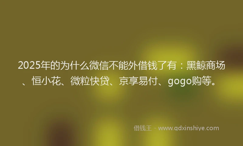 2025年的为什么微信不能外借钱了有：黑鲸商场、恒小花、微粒快贷、京享易付、gogo购等。