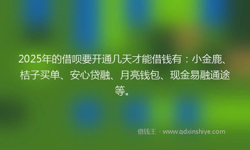 2025年的借呗要开通几天才能借钱有：小金鹿、桔子买单、安心贷融、月亮钱包、现金易融通途等。