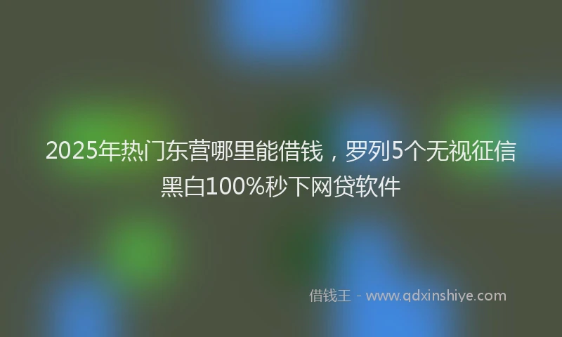 2025年热门东营哪里能借钱，罗列5个无视征信黑白100%秒下网贷软件