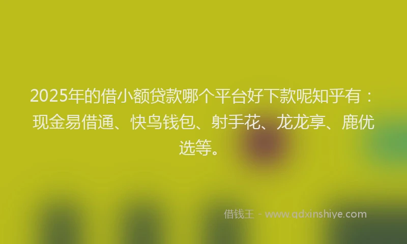 2025年的借小额贷款哪个平台好下款呢知乎有：现金易借通、快鸟钱包、射手花、龙龙享、鹿优选等。