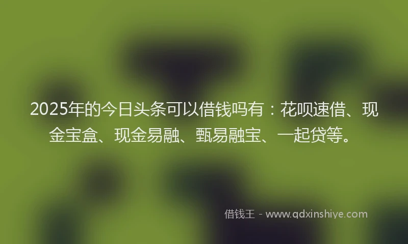 2025年的今日头条可以借钱吗有：花呗速借、现金宝盒、现金易融、甄易融宝、一起贷等。