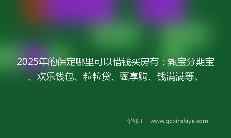 2025年的保定哪里可以借钱买房有：甄宝分期宝、欢乐钱包、粒粒贷、甄享购、钱满满等。