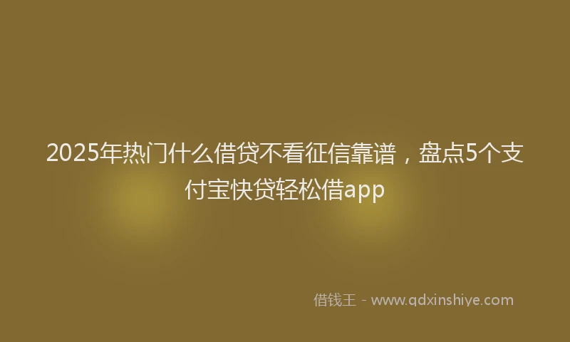 2025年热门什么借贷不看征信靠谱，盘点5个支付宝快贷轻松借app
