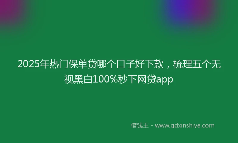 2025年热门保单贷哪个口子好下款，梳理五个无视黑白100%秒下网贷app