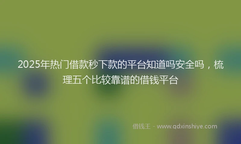 2025年热门借款秒下款的平台知道吗安全吗，梳理五个比较靠谱的借钱平台
