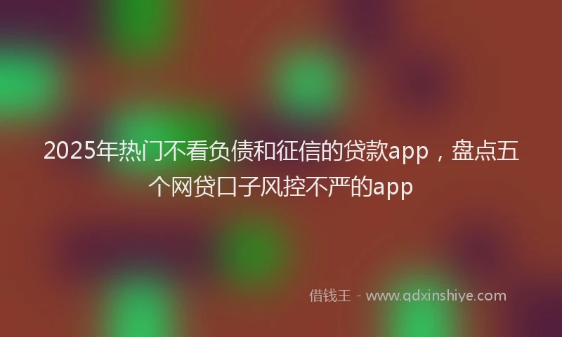 2025年热门不看负债和征信的贷款app，盘点五个网贷口子风控不严的app