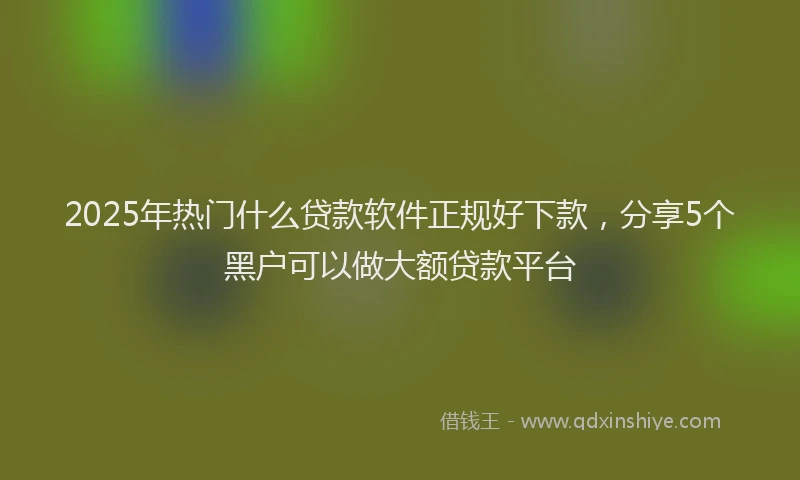 2025年热门什么贷款软件正规好下款，分享5个黑户可以做大额贷款平台