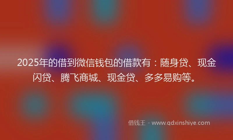 2025年的借到微信钱包的借款有：随身贷、现金闪贷、腾飞商城、现金贷、多多易购等。